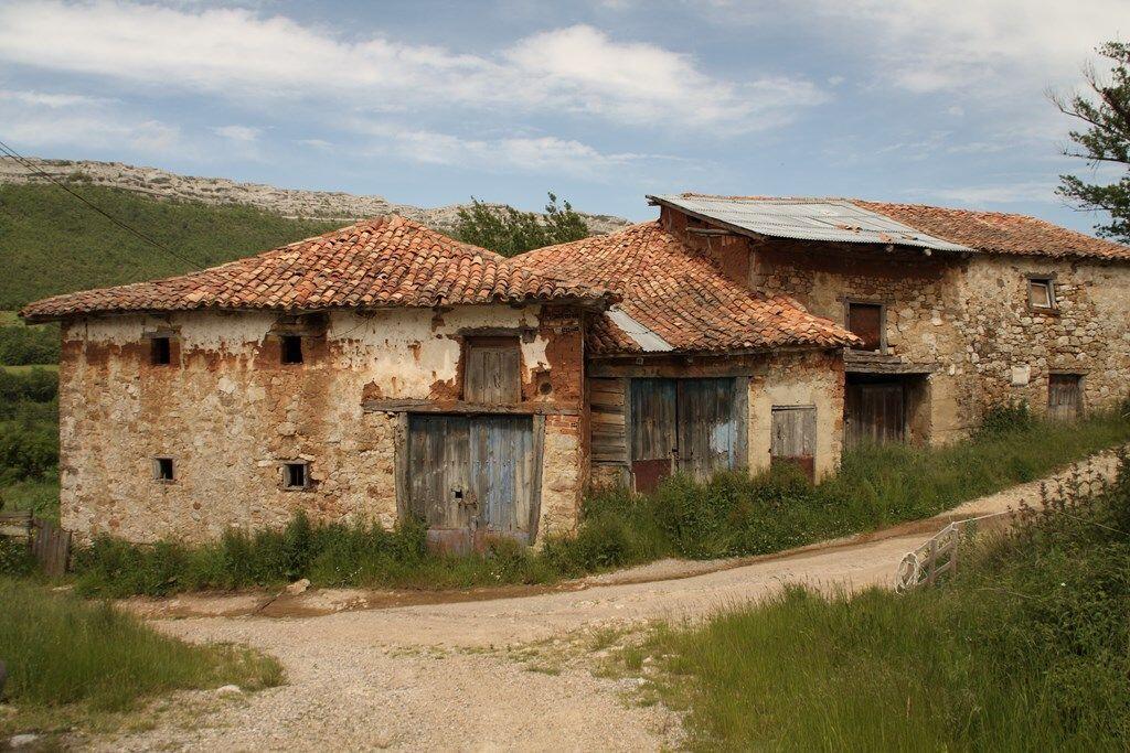 Fotografía de la galería de imágenes con id: 874
